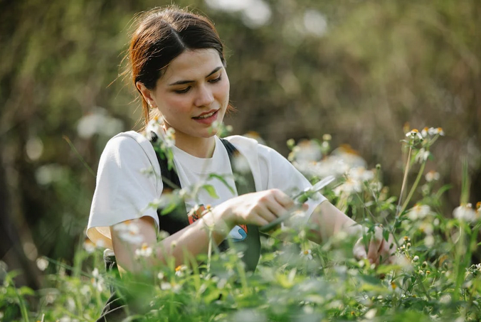 gardener